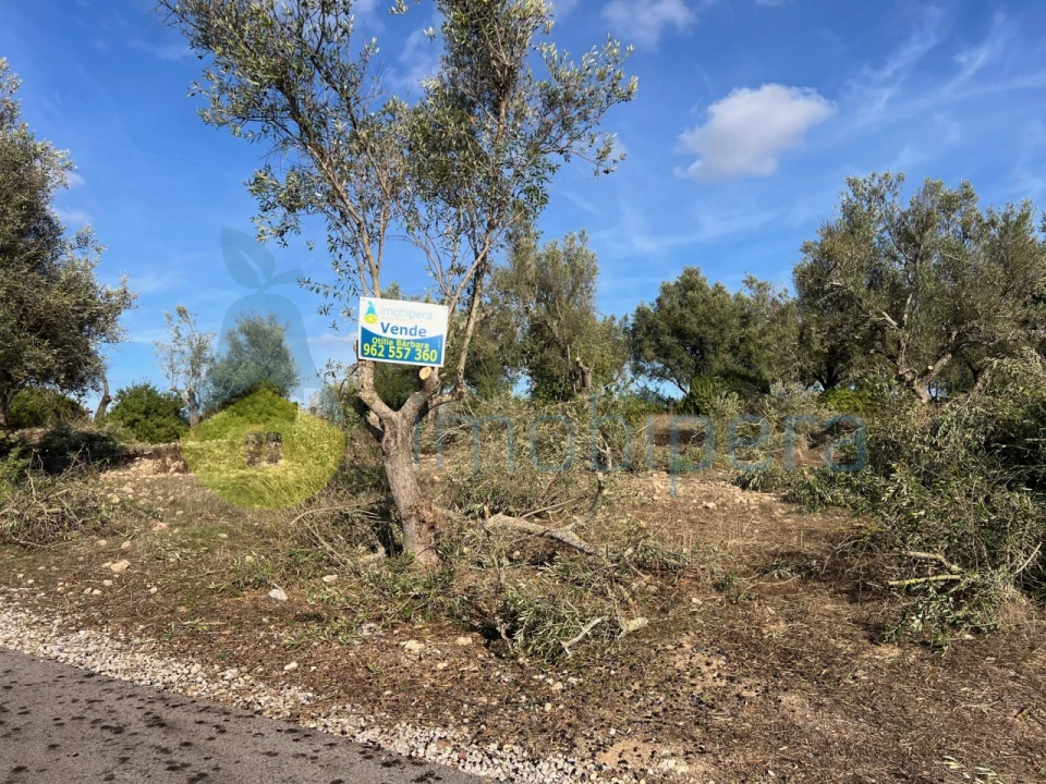 Terreno para Venda em Paderne Foto 27