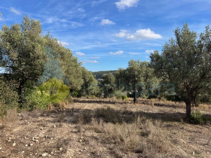 Terreno para Venda em Paderne Foto 8
