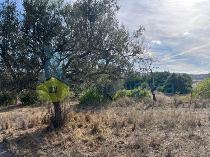 Terreno para Venda em Paderne Foto 13