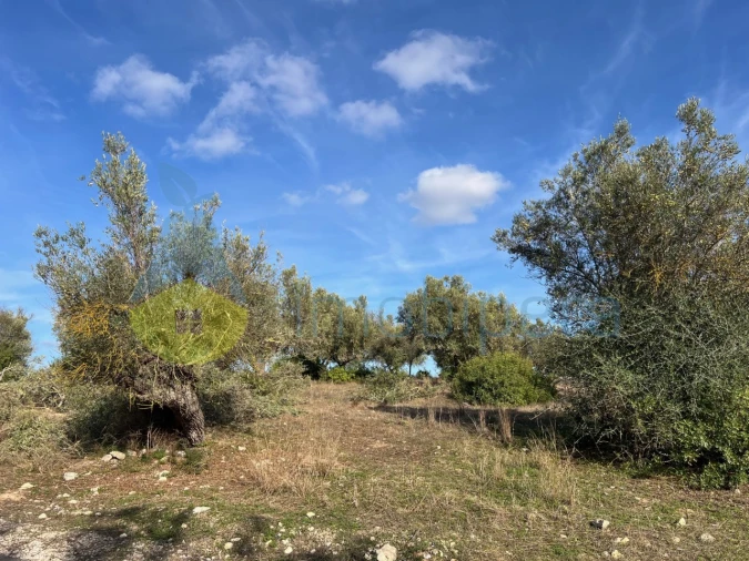 Terreno para Venda em Paderne Foto 28