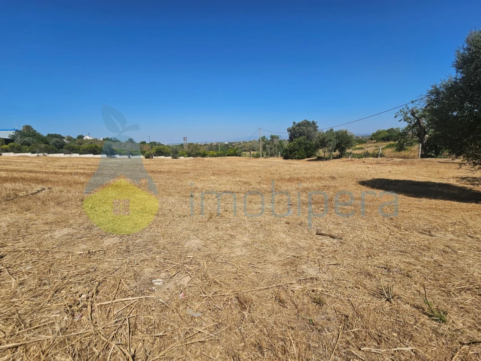 Terreno para Venda em Albufeira e Olhos de Água Foto 10