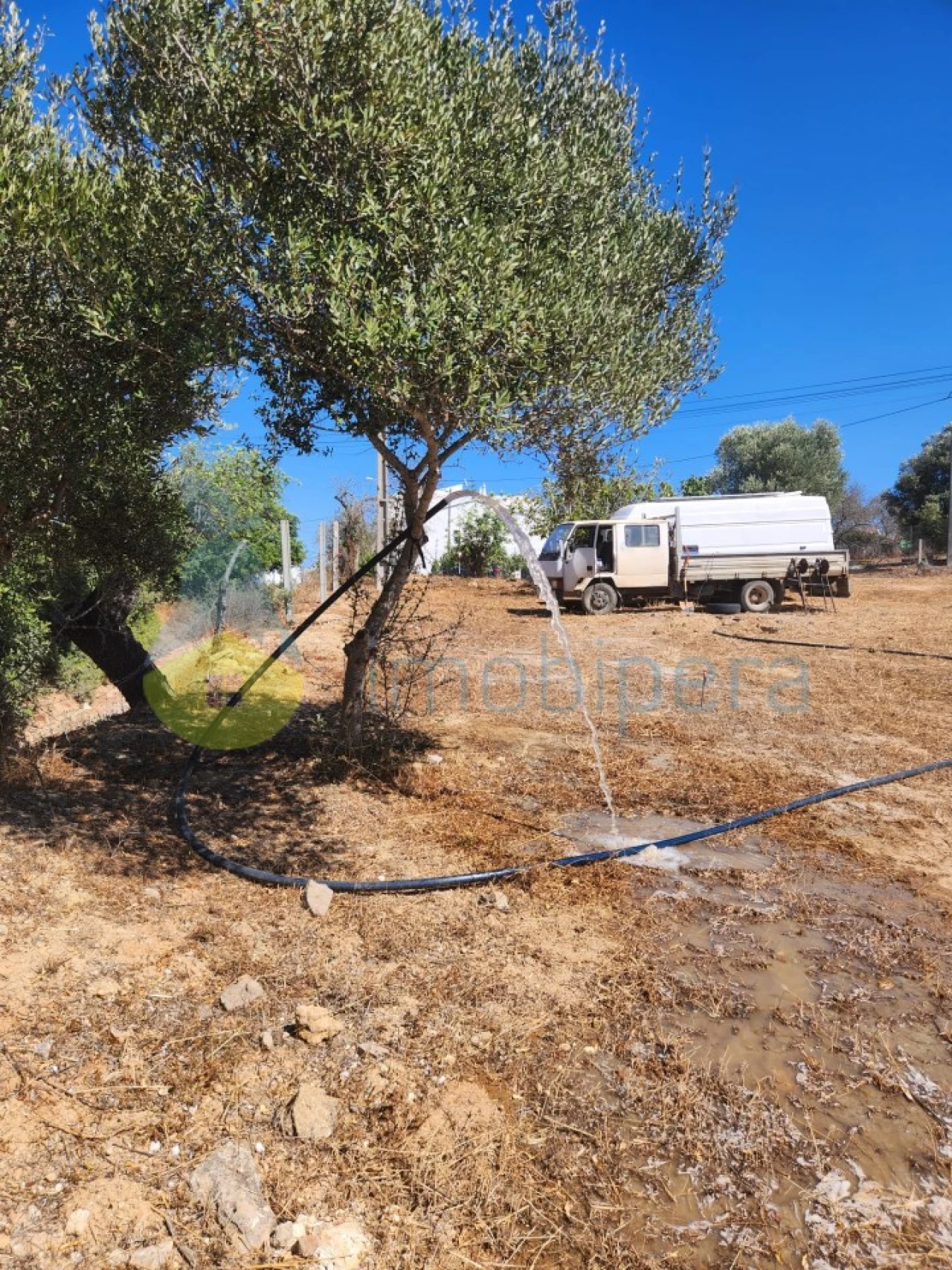 Terreno para Venda em Albufeira e Olhos de Água Foto 13