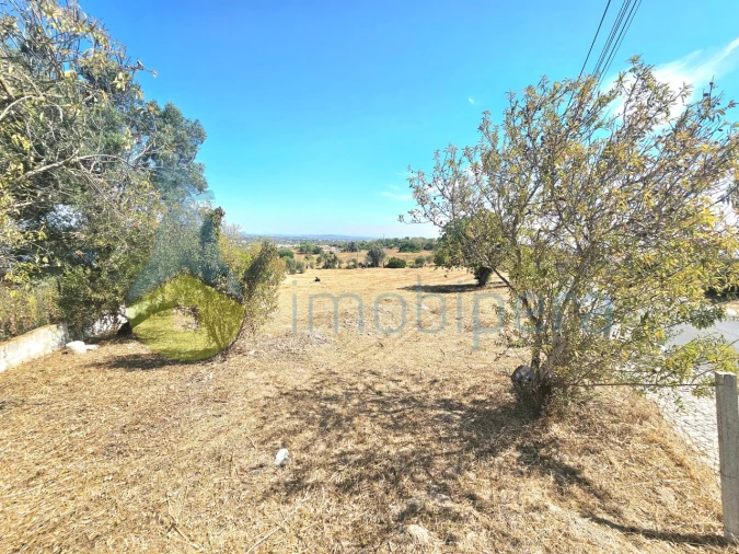 Terreno para Venda em Albufeira e Olhos de Água Foto 1