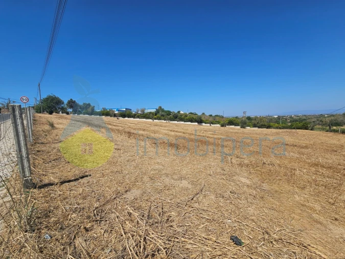 Terreno para Venda em Albufeira e Olhos de Água Foto 8