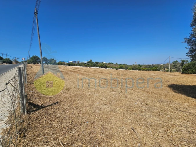 Terreno para Venda em Albufeira e Olhos de Água Foto 9