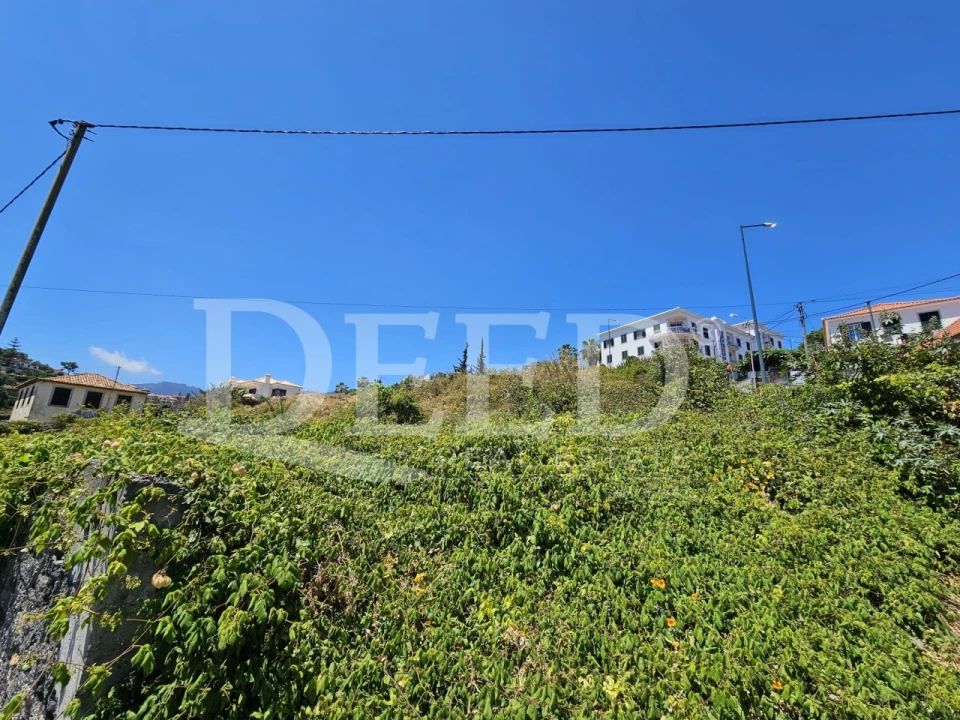 Terreno para Venda em Funchal (São Pedro) Foto 2