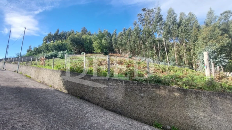 Terreno para Venda em Camacha