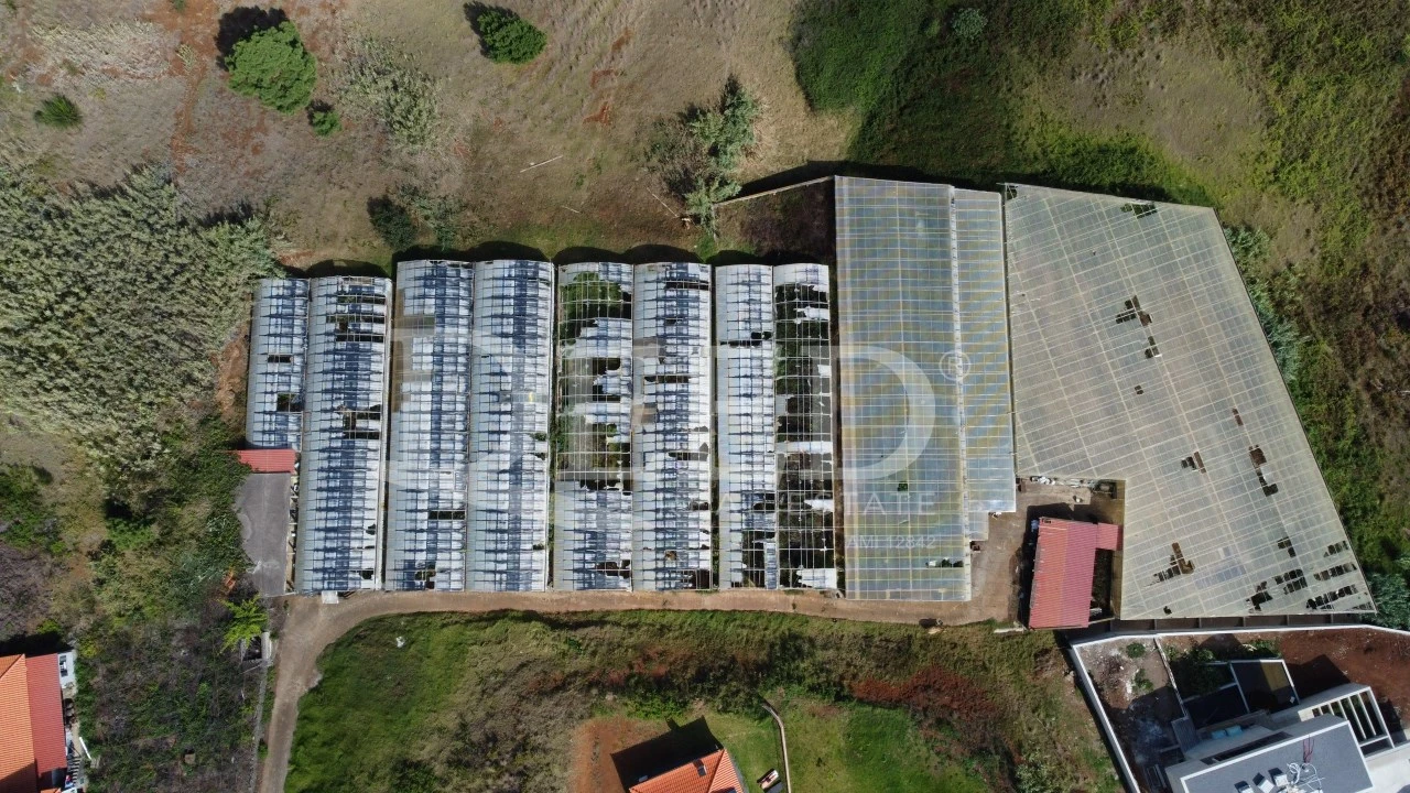 Terreno para Venda em Prazeres Foto 4