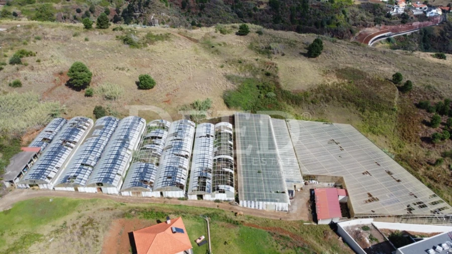 Terreno para Venda em Prazeres Foto 2