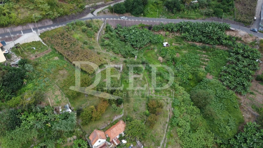 Terreno para Venda em Porto da Cruz Foto 6