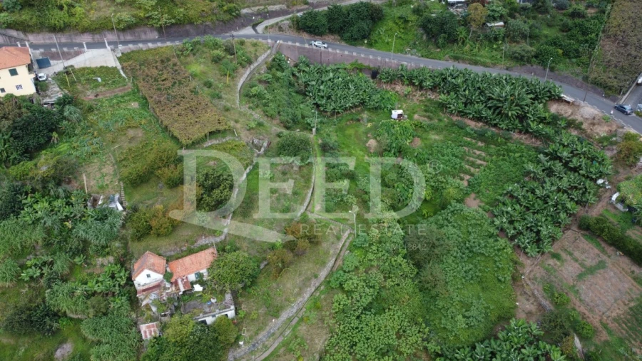 Terreno para Venda em Porto da Cruz Foto 7