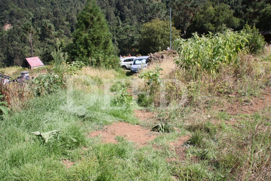 Terreno para Venda em São Vicente Foto 4