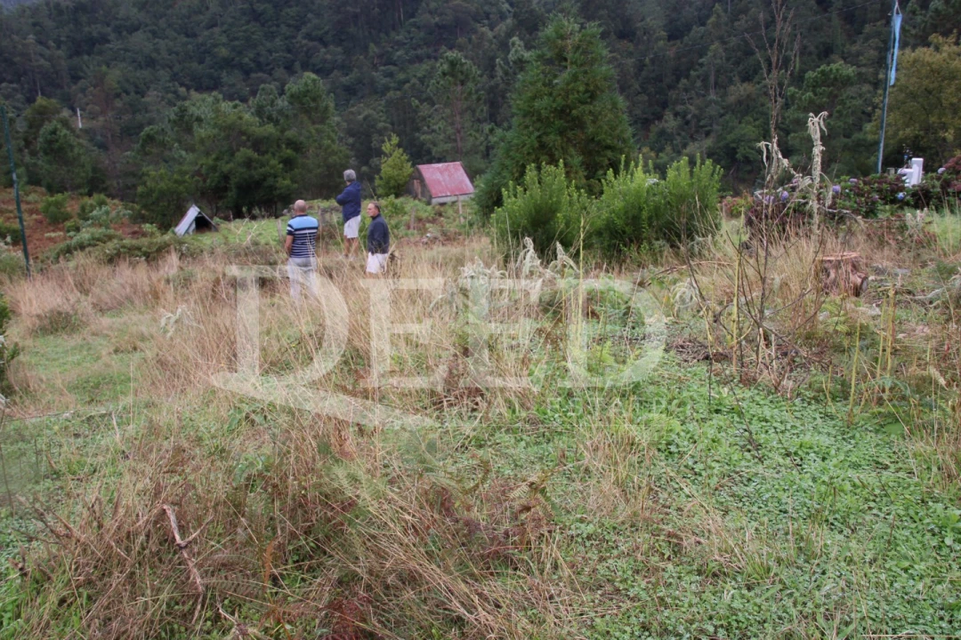 Terreno para Venda em São Vicente Foto 7