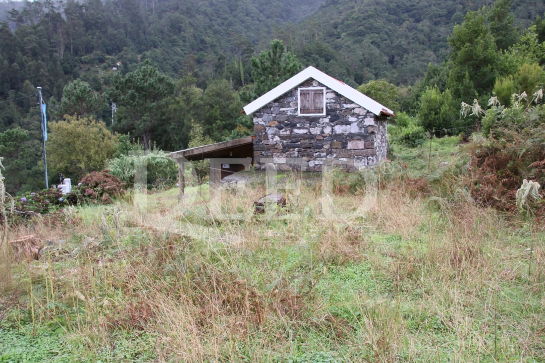 Terreno para Venda em São Vicente Foto 1