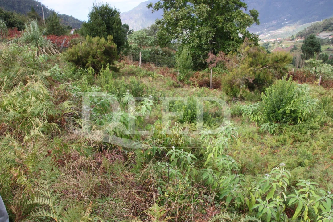 Terreno para Venda em São Vicente Foto 8