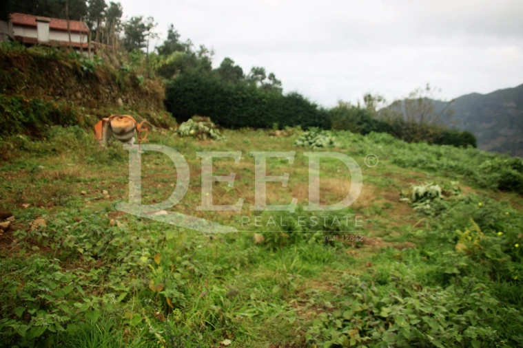 Terreno para Venda em São Vicente Foto 2