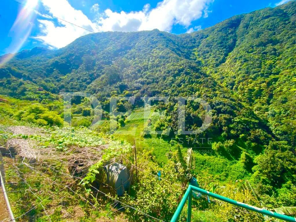 Terreno para Venda em Porto da Cruz Foto 3