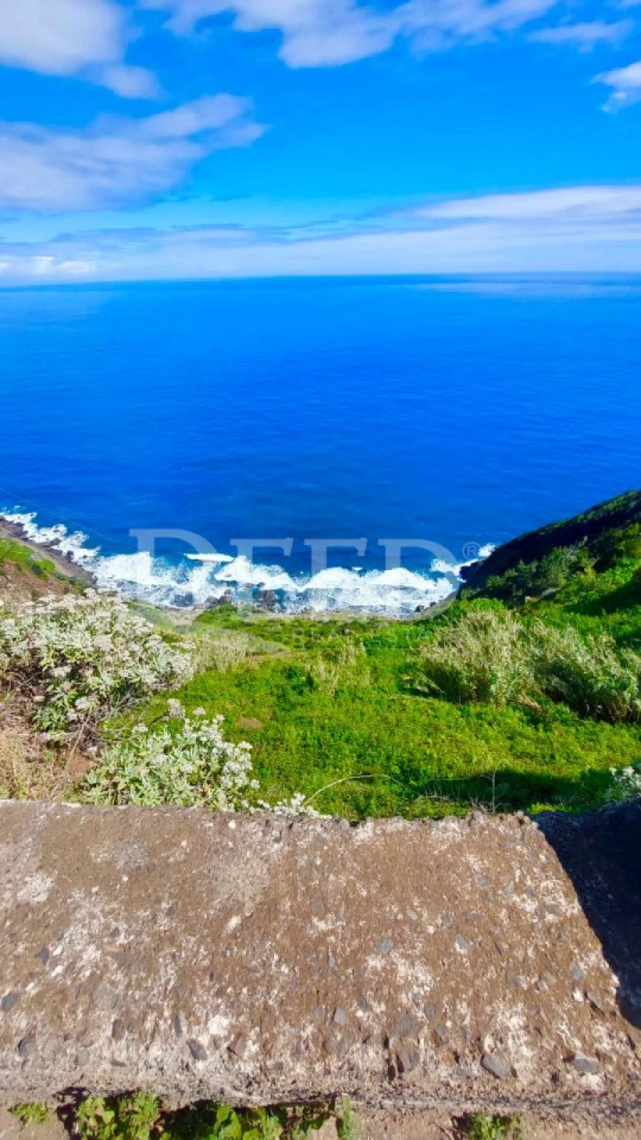Terreno para Venda em Porto da Cruz Foto 6