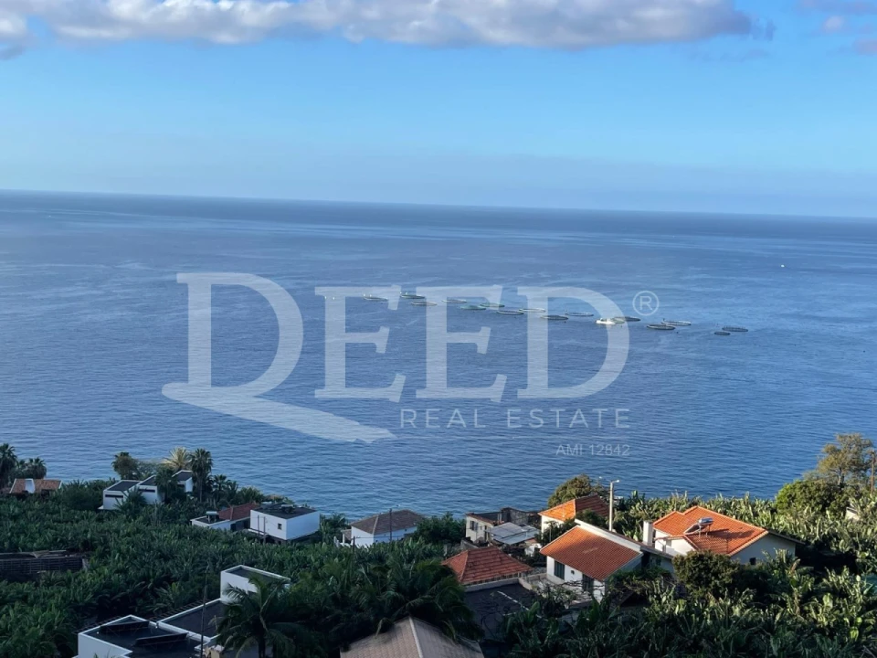 Terreno para Venda em Arco da Calheta Foto 1