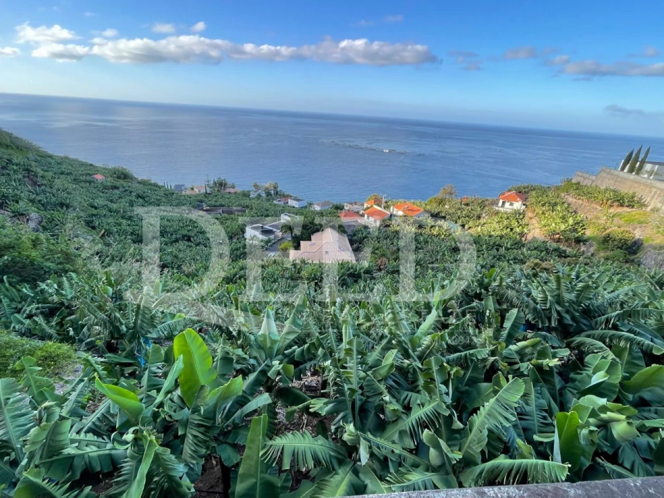 Terreno para Venda em Arco da Calheta Foto 2
