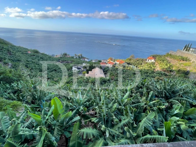 Terreno para Venda em Arco da Calheta Foto 2