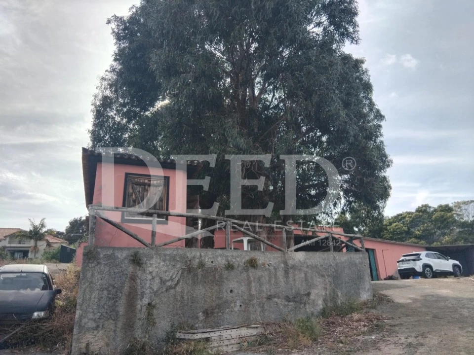 Terreno para Venda em Santa Cruz Foto 4