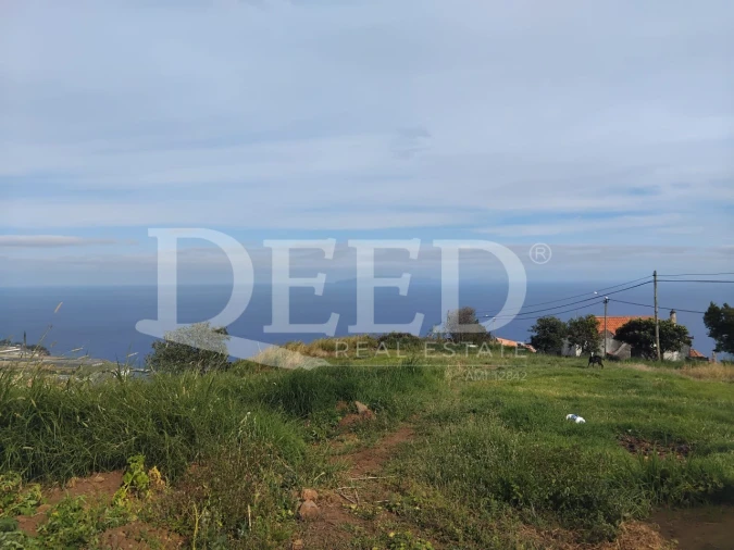 Terreno para Venda em Santa Cruz Foto 3