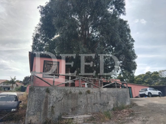 Terreno para Venda em Santa Cruz Foto 4