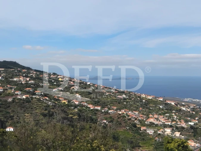 Terreno para Venda em Santa Cruz Foto 11