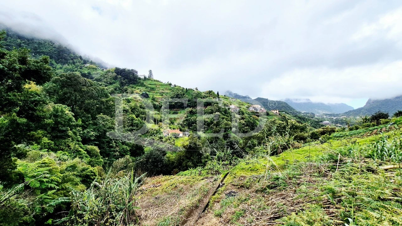 Terreno para Venda em Porto da Cruz Foto 3