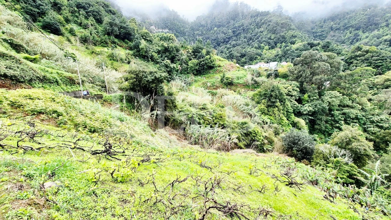 Terreno para Venda em Porto da Cruz Foto 6