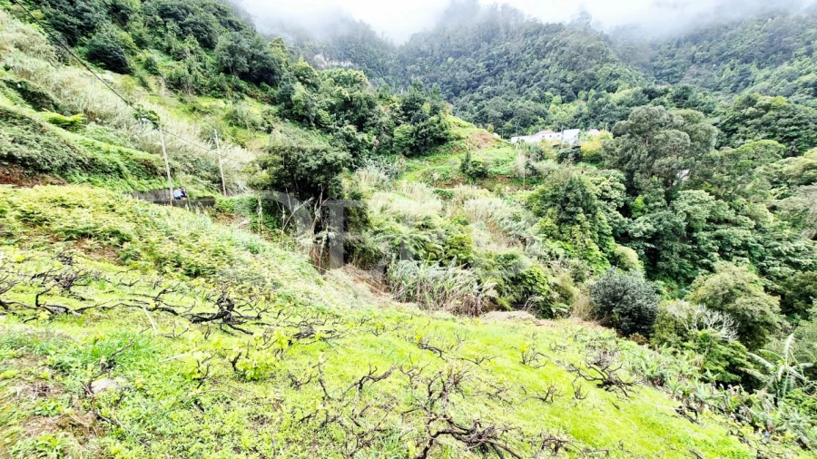 Terreno para Venda em Porto da Cruz Foto 6