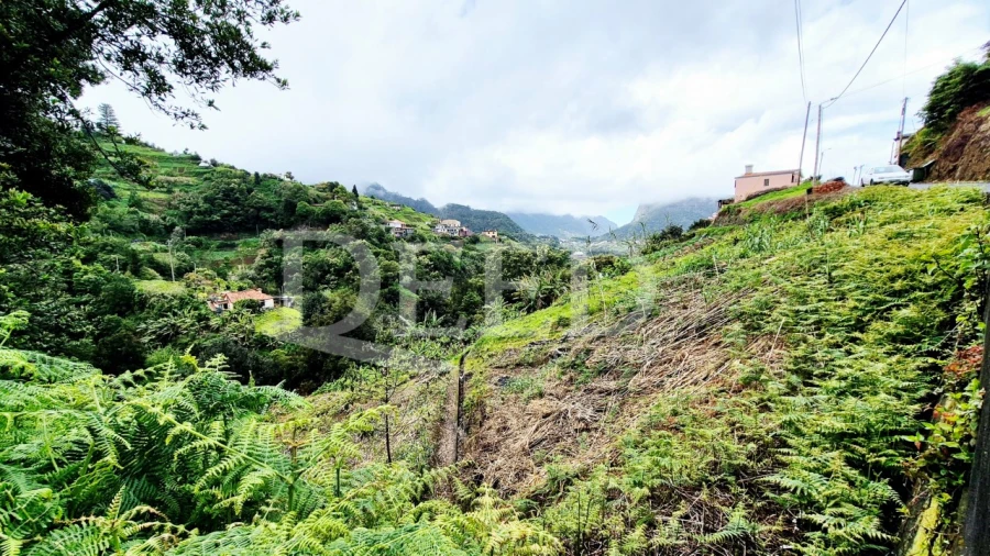 Terreno para Venda em Porto da Cruz Foto 8
