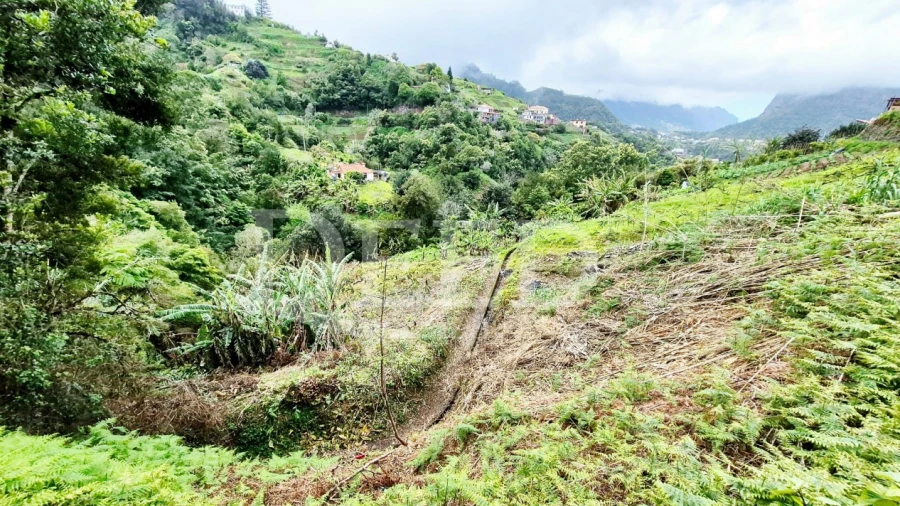 Terreno para Venda em Porto da Cruz