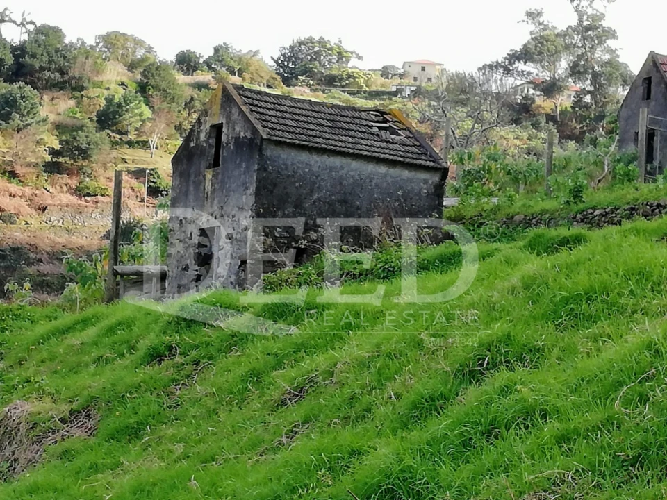 Terreno para Venda em São Vicente Foto 4