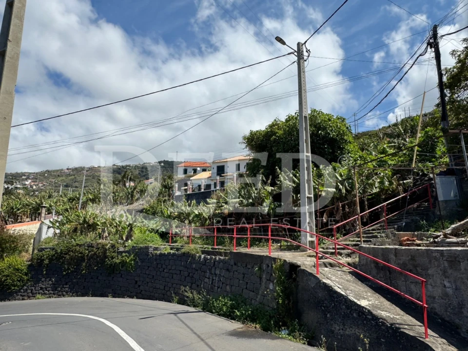 Terreno para Venda em Ribeira Brava Foto 2