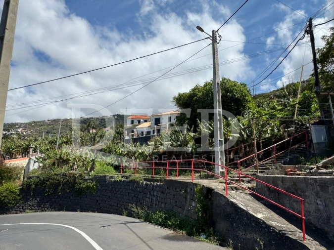 Terreno para Venda em Ribeira Brava Foto 2