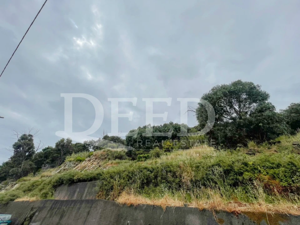 Terreno para Venda em Santa Cruz Foto 1