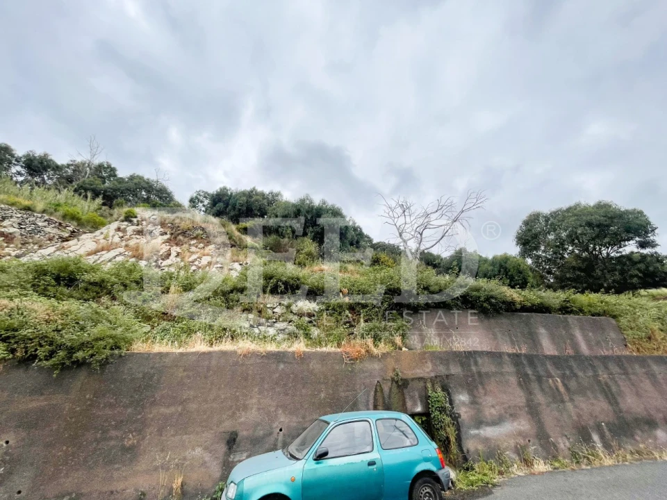 Terreno para Venda em Santa Cruz Foto 2