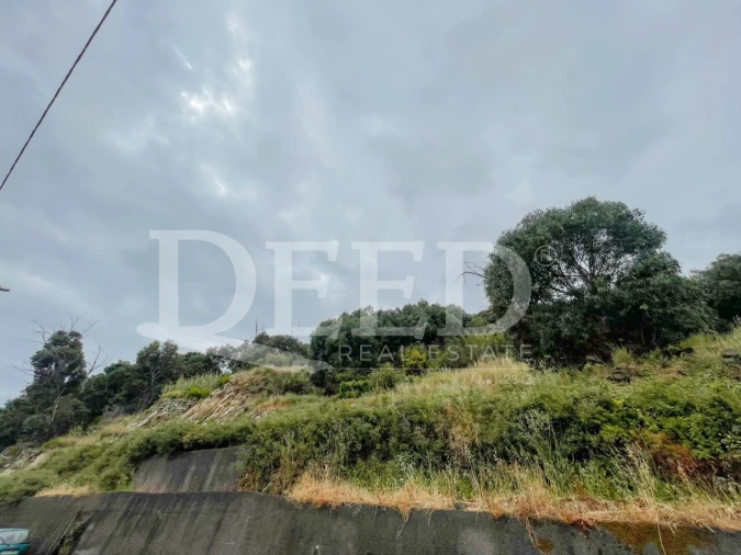 Terreno para Venda em Santa Cruz Foto 1