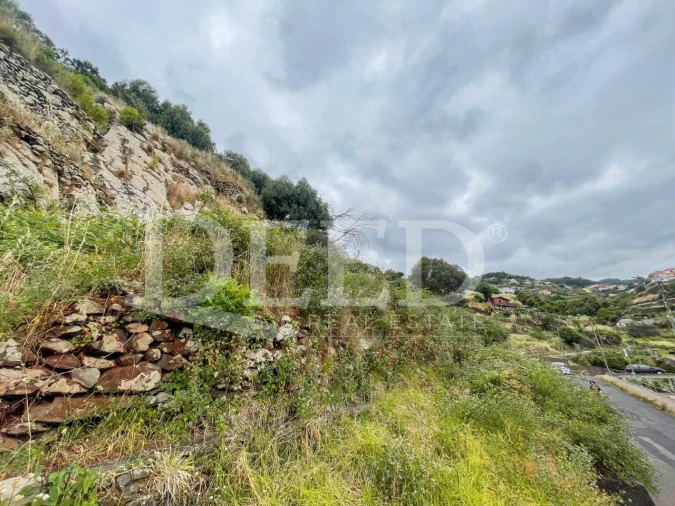 Terreno para Venda em Santa Cruz Foto 3