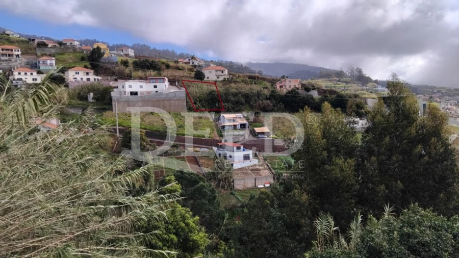 Terreno para Venda em Ponta do Sol Foto 2