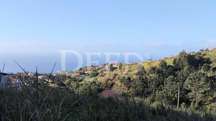 Terreno para Venda em Ponta do Sol