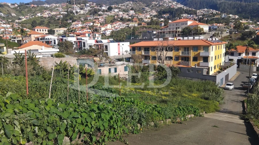 Terreno para Venda em Santo Antonio Foto 4