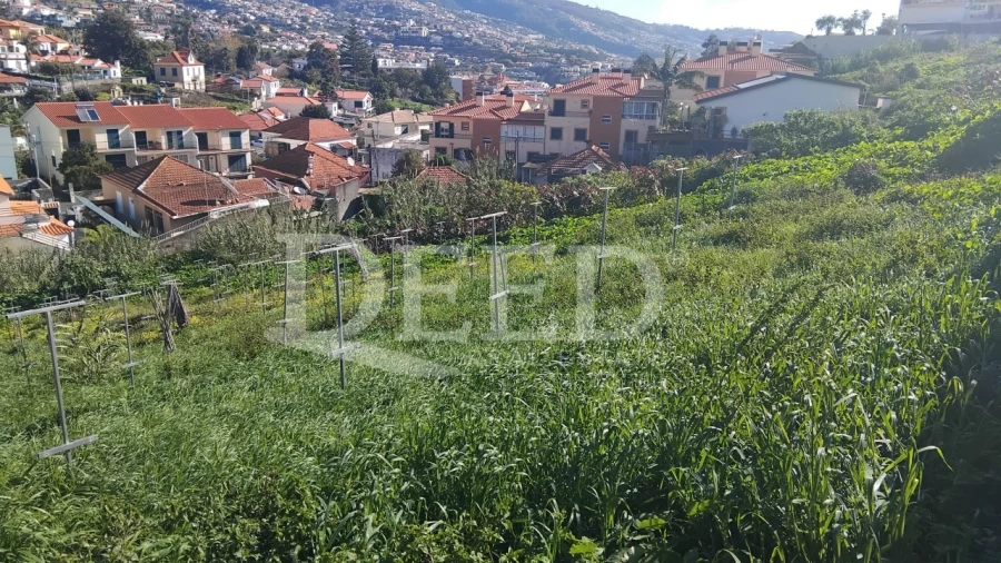 Terreno para Venda em Santo Antonio Foto 7