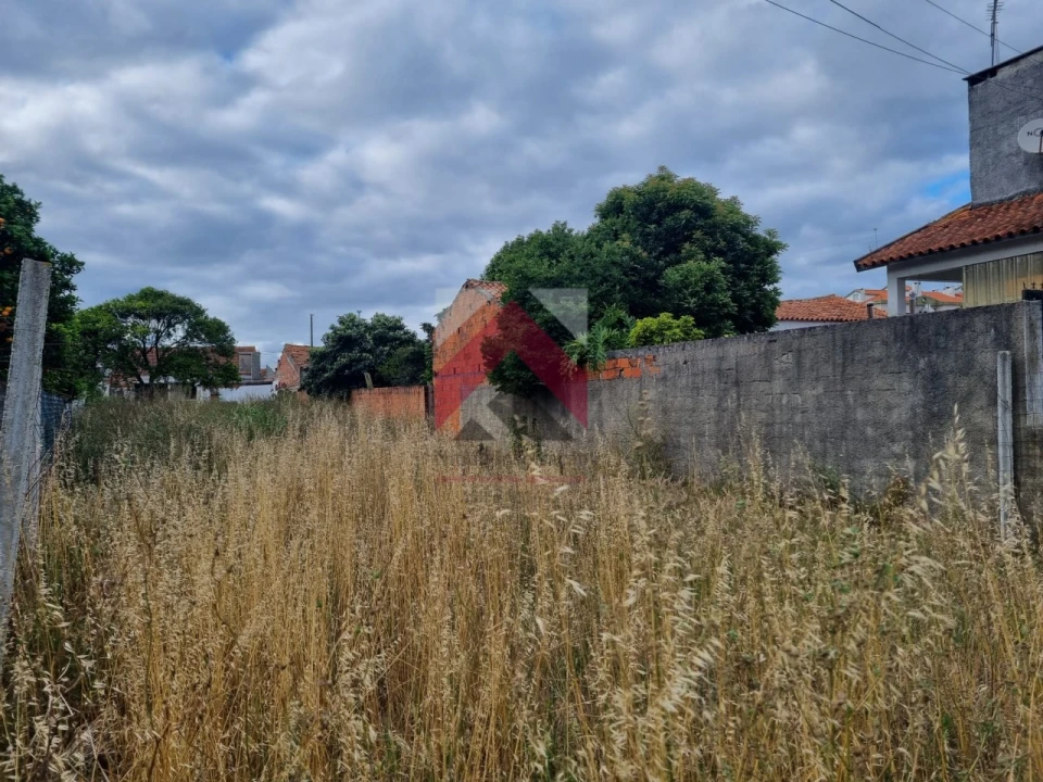 Terreno para Venda em Oiã Foto 1