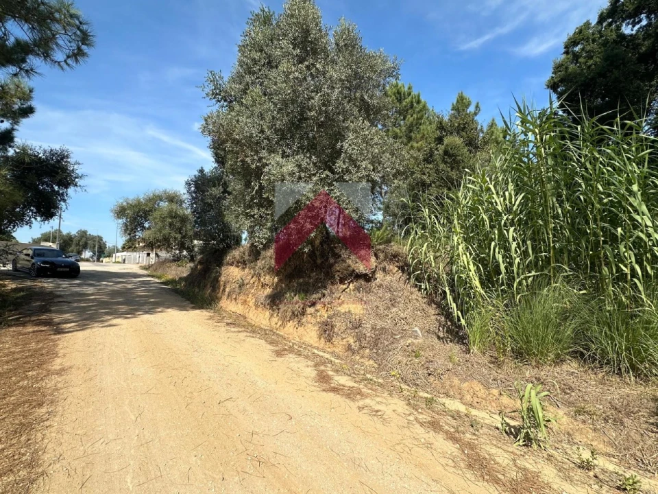 Terreno para Venda em Oiã Foto 1