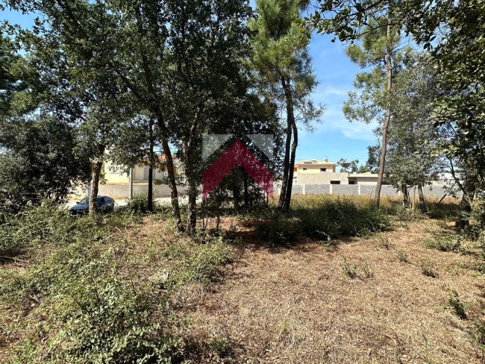 Terreno para Venda em Oiã Foto 2