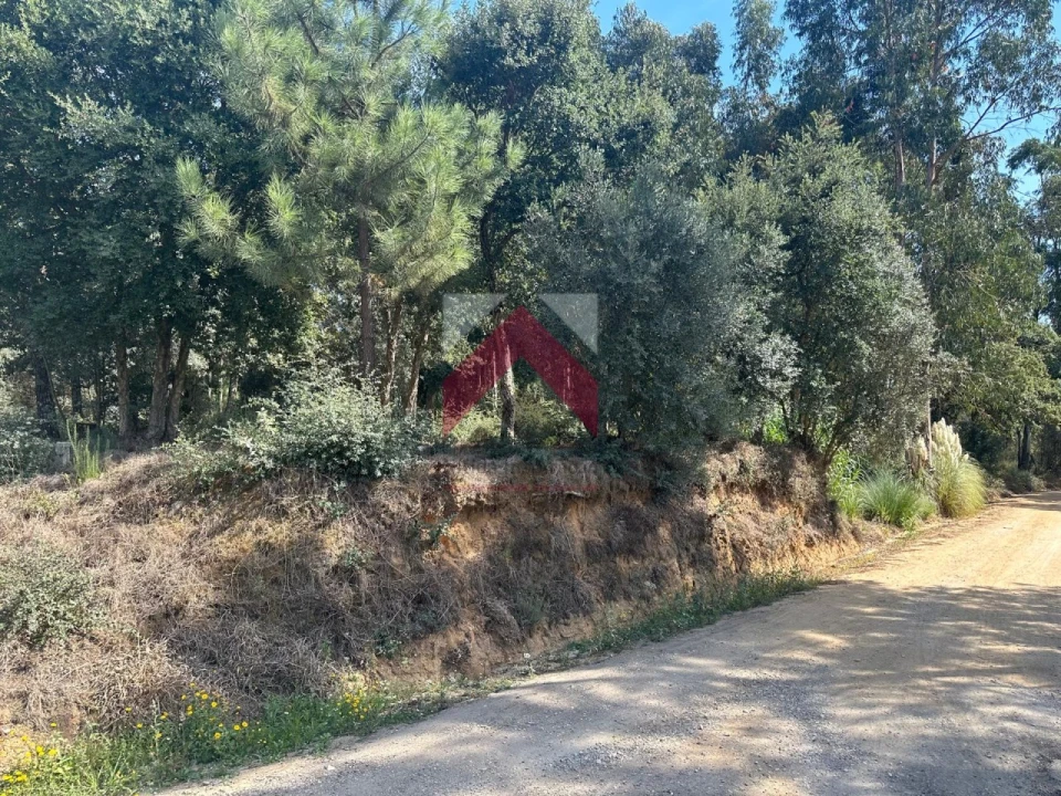 Terreno para Venda em Oiã Foto 4