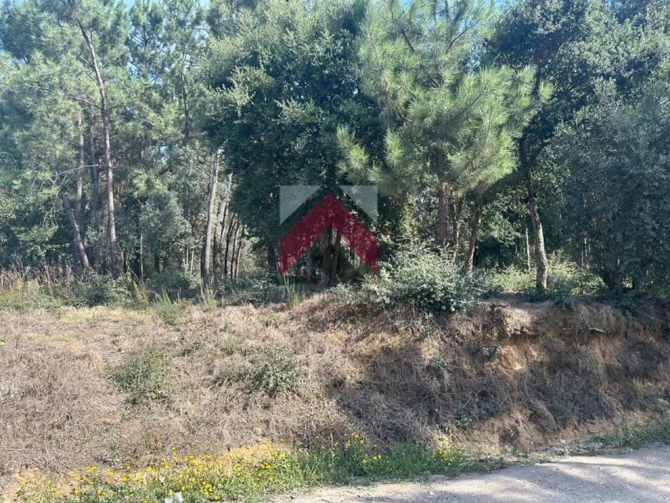 Terreno para Venda em Oiã Foto 5